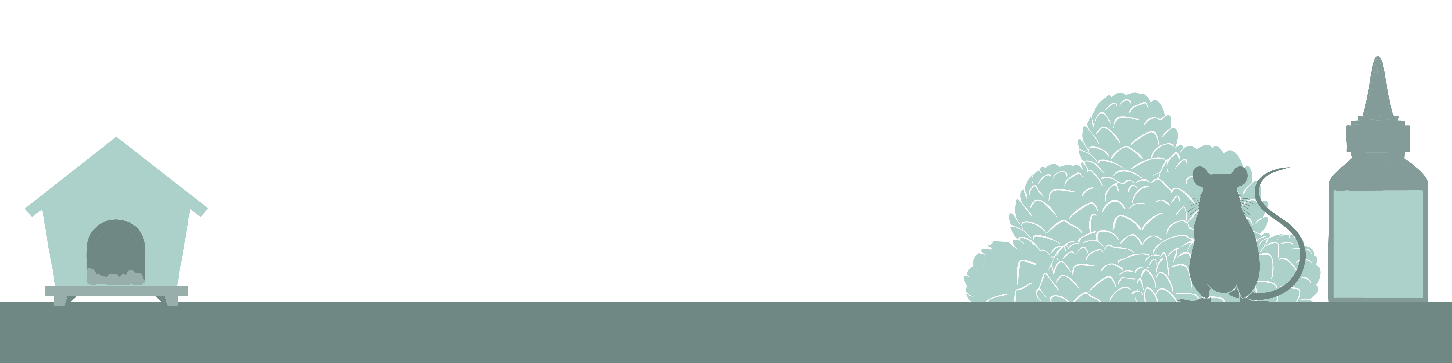 Diversen Knaagdieren producten