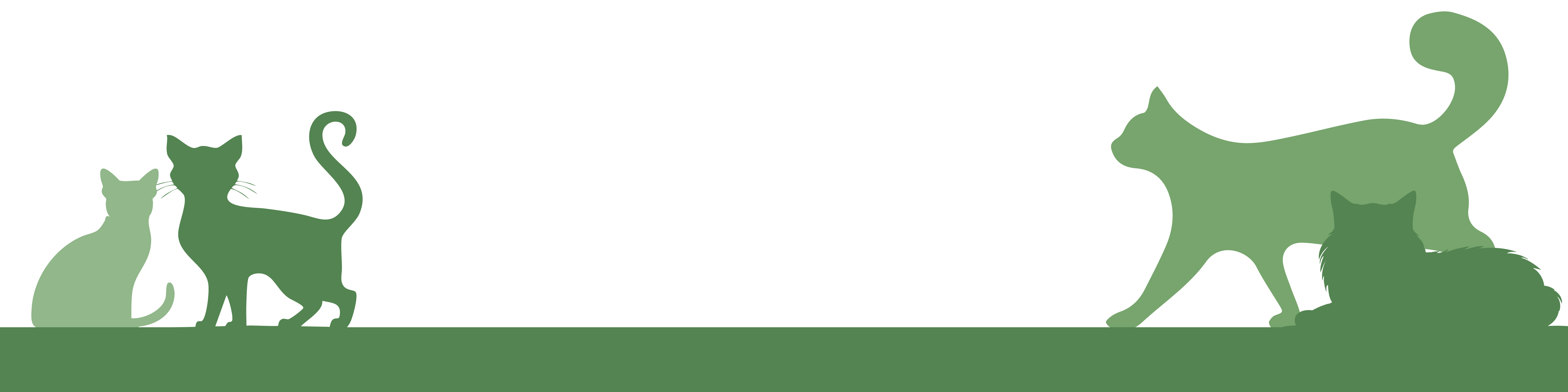 Producten voor Katten