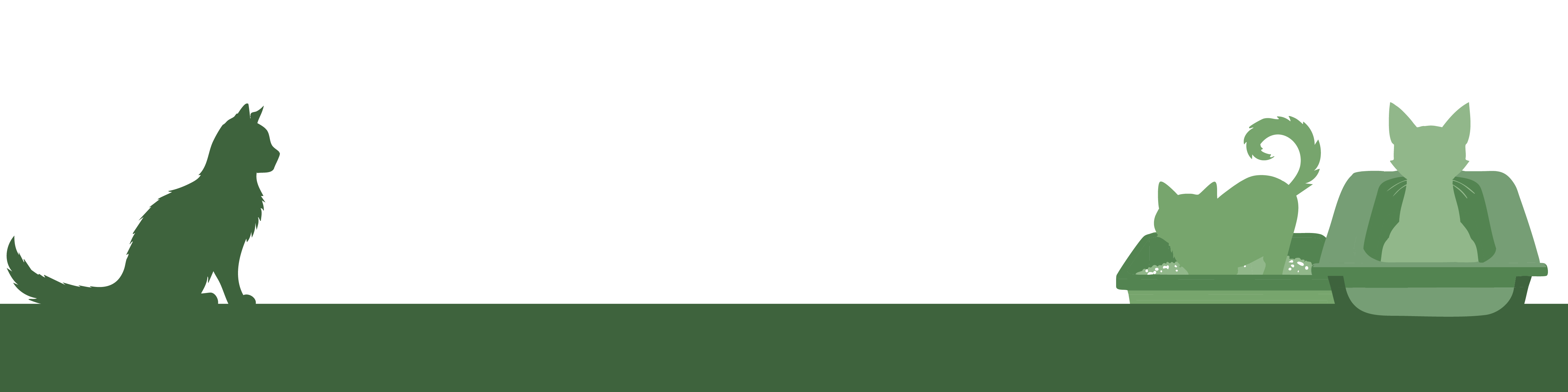 Kattenbakken en andere producten