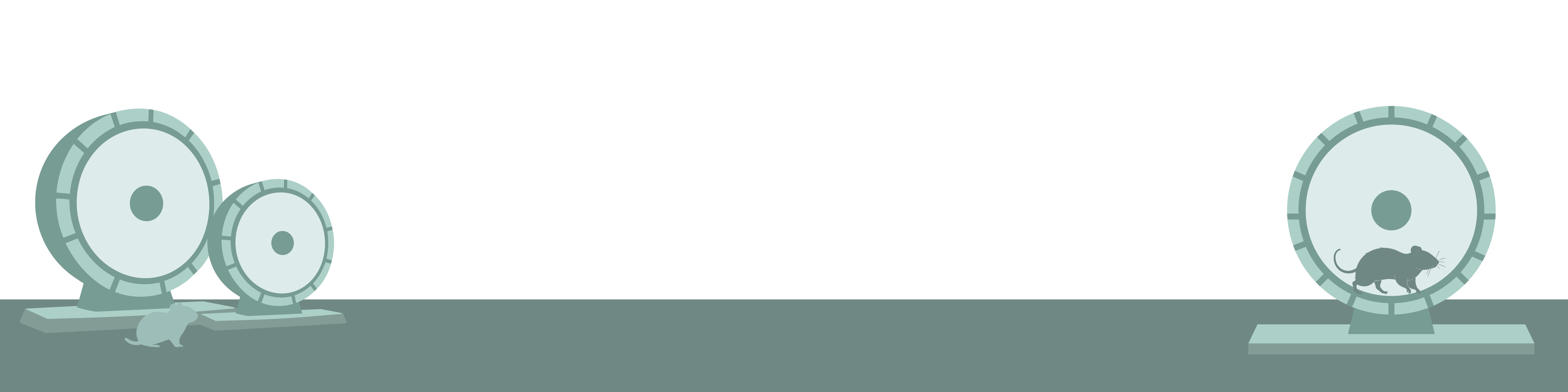 Verschillende soorten Loopwielen