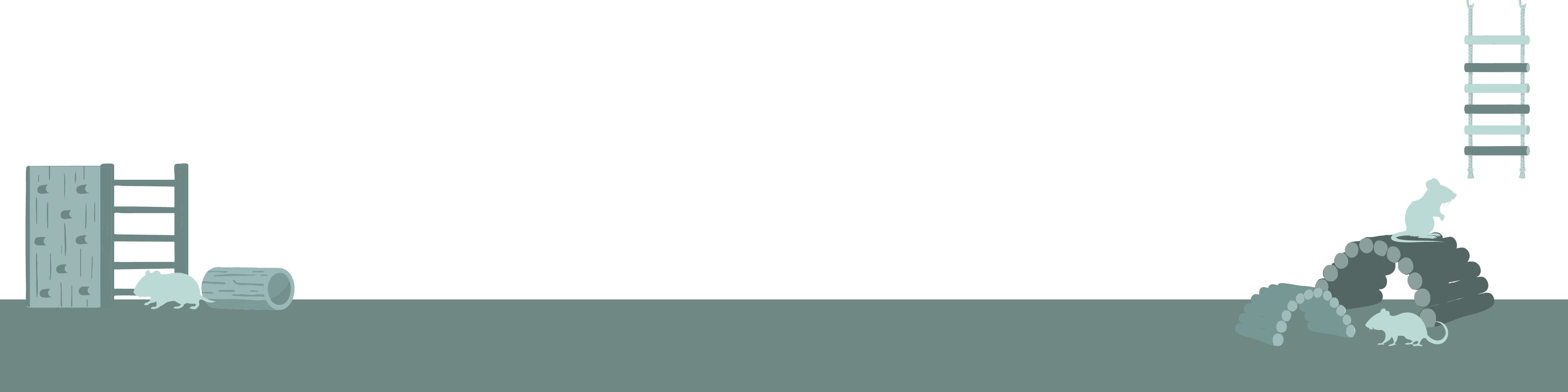 Producten voor Knaagdieren