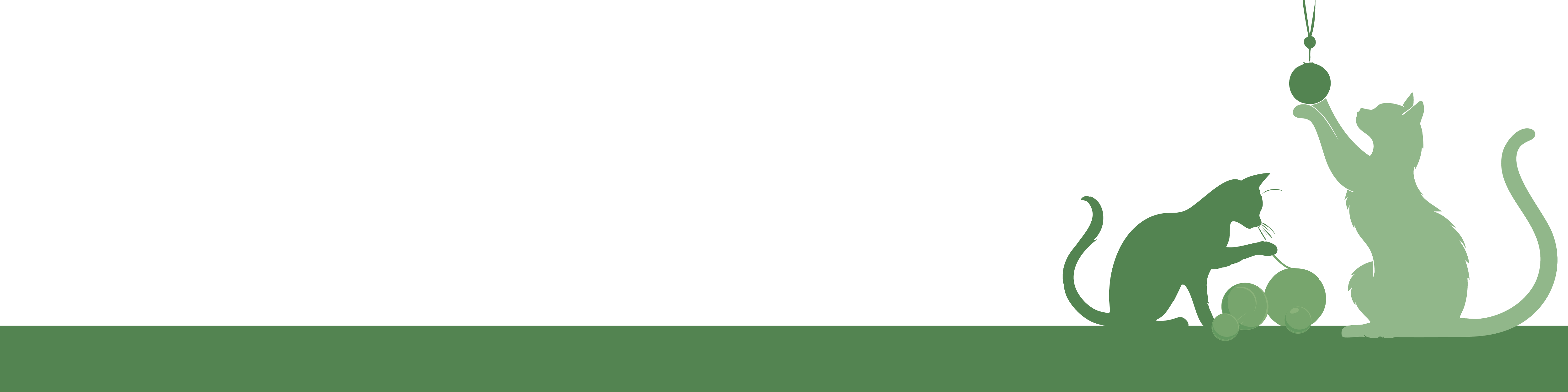 Speelgoed voor katten