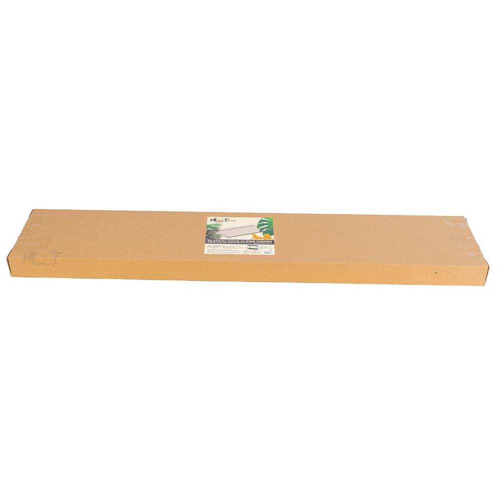 Glazen plateau van 120x20