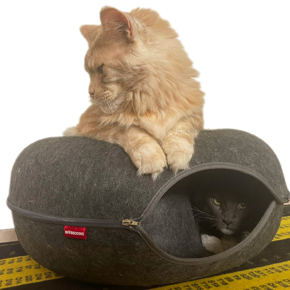 Producten voor Katten