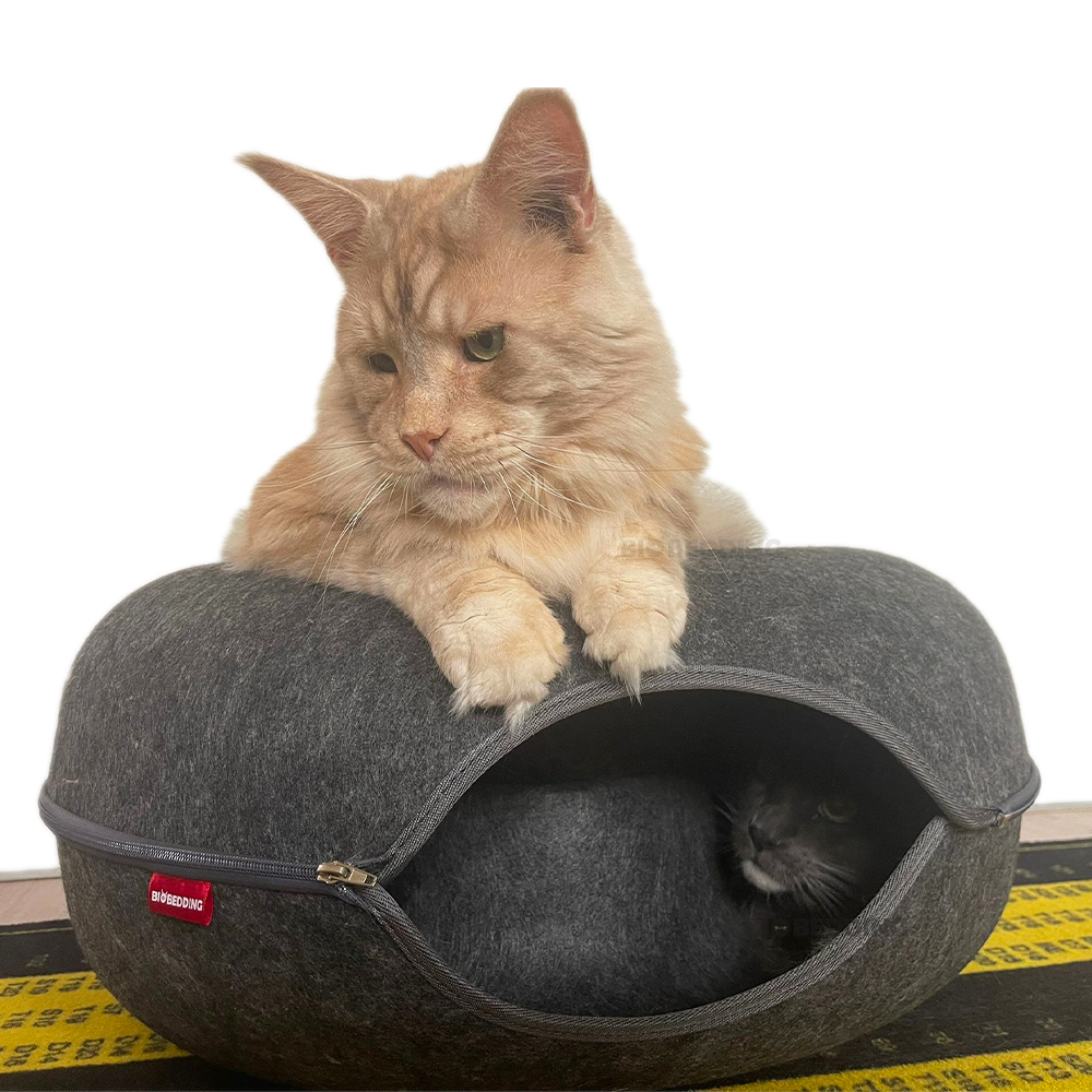 Producten voor Katten