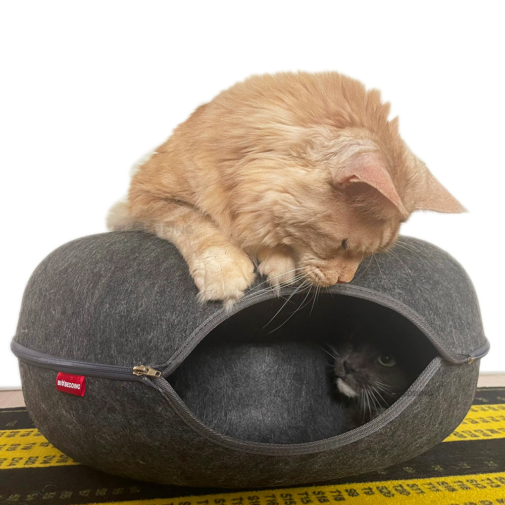 Manden voor Katten