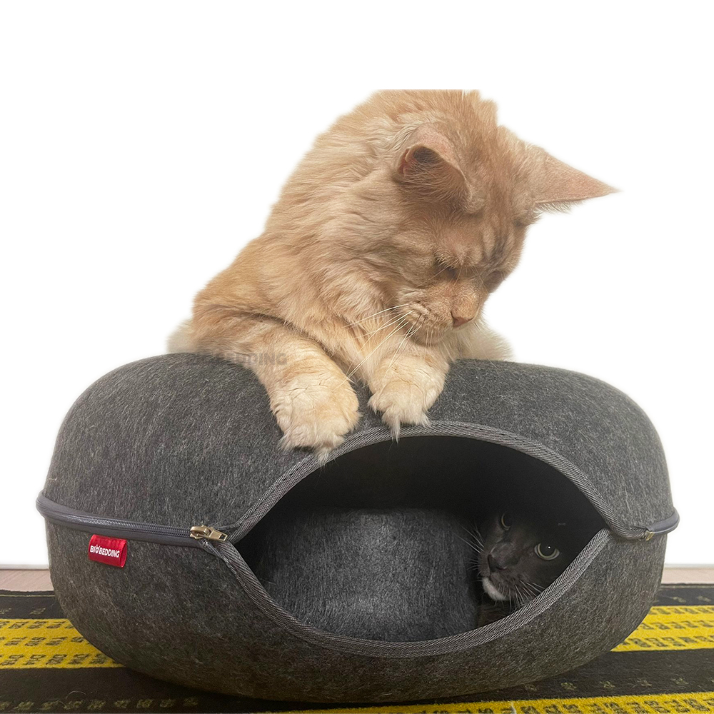 Mand voor Katten