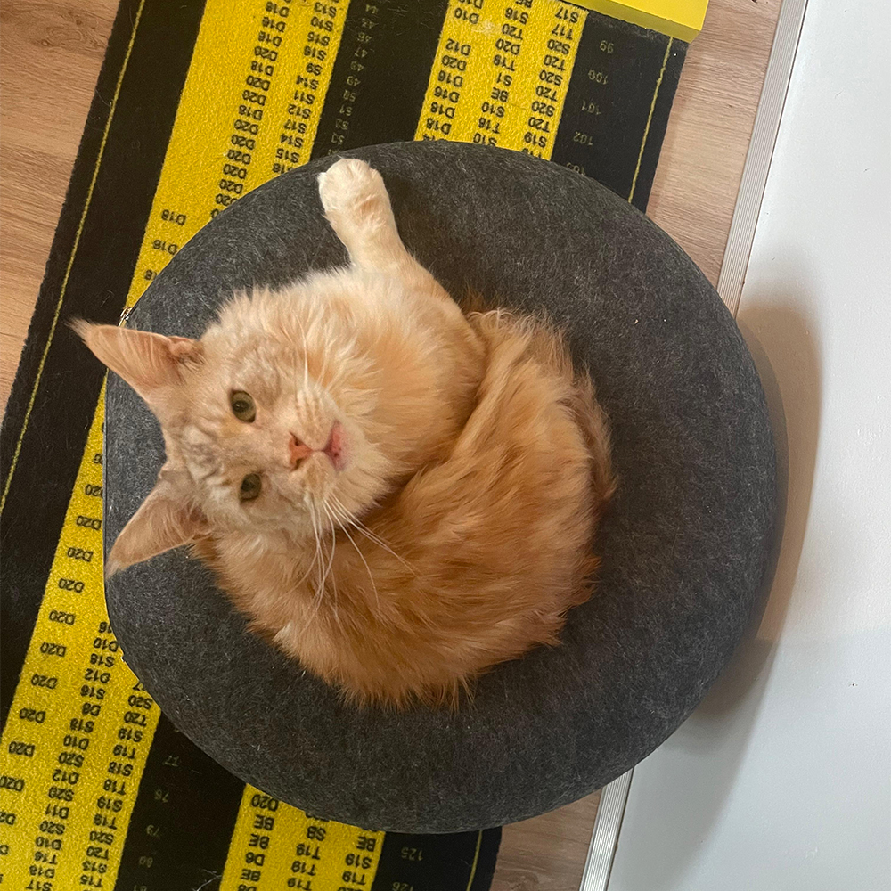 Kattenmand Cosy Donut 50 cm 1 opening