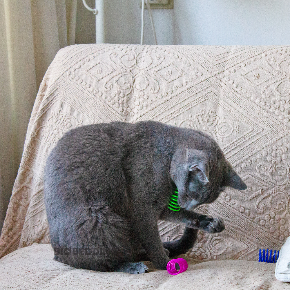 Kattenveertjes – Kattenspeelgoed 20 stuks