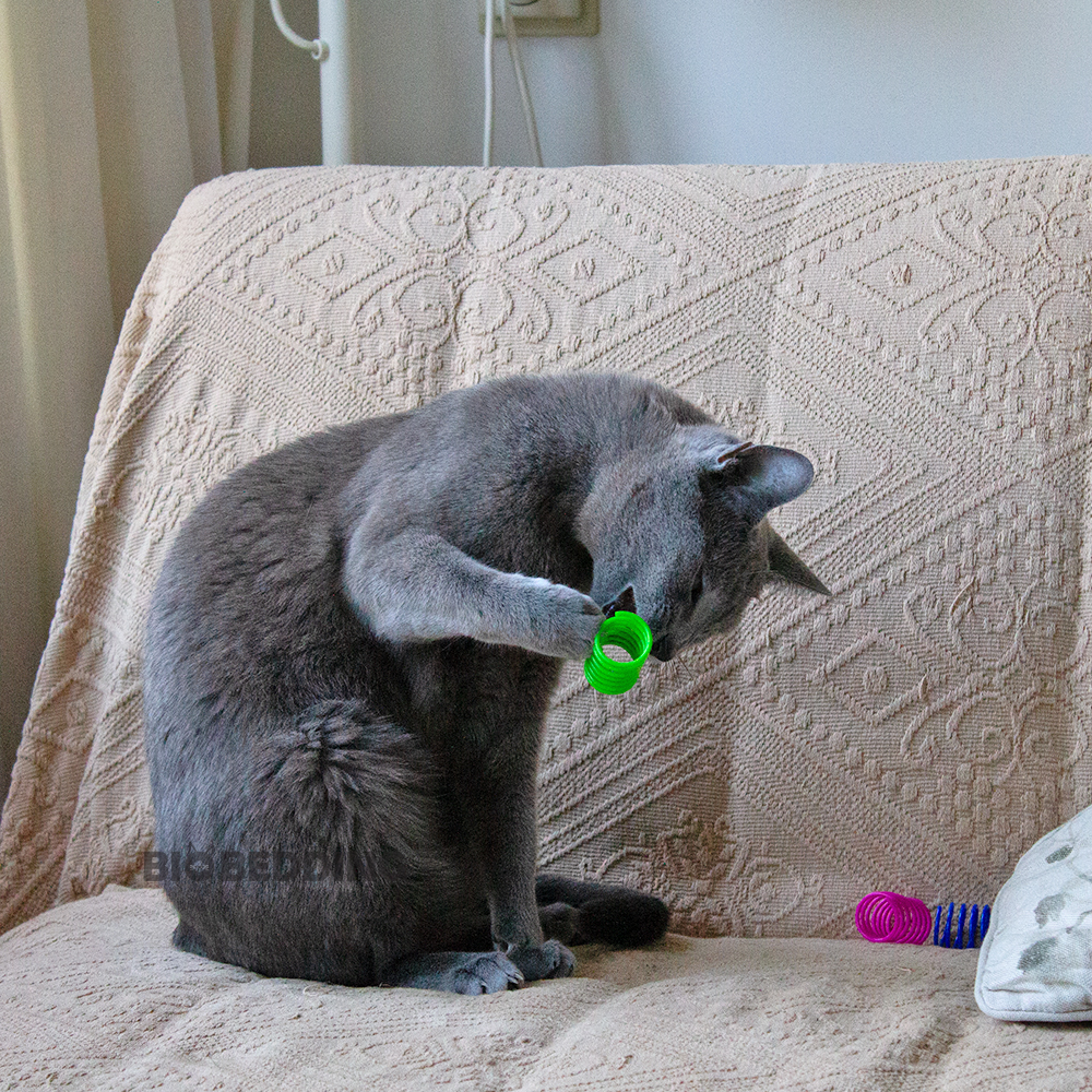 Kattenveertjes – Kattenspeelgoed 4 stuks