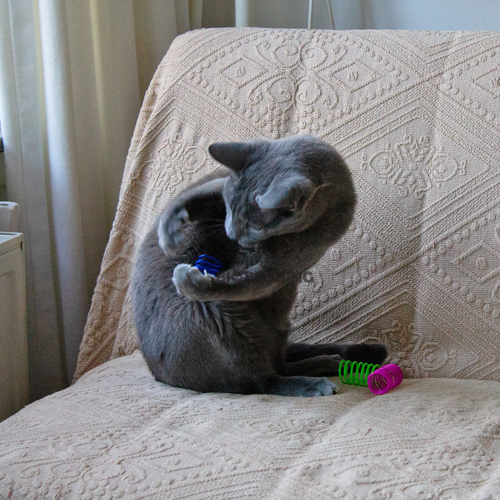 Bio Bedding katten producten