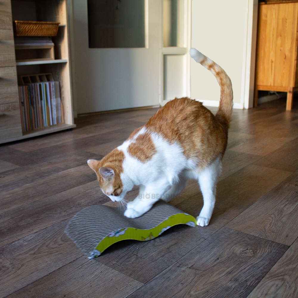 Kattenproducten