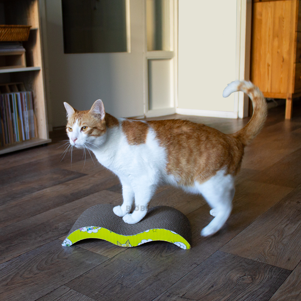 Krabpalen voor Katten