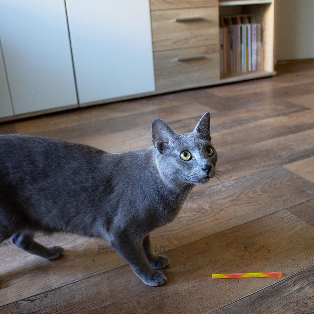 Springveren speelgoed