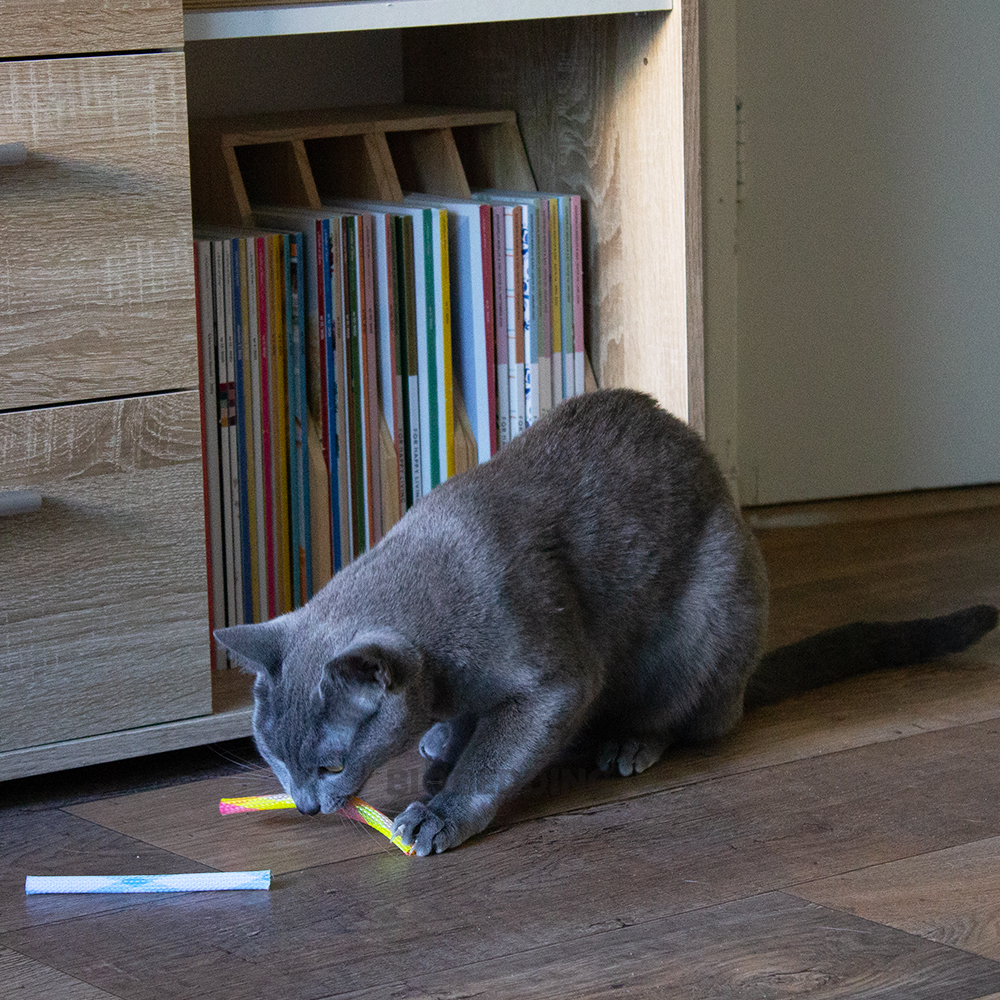 Kattenspeelgoed