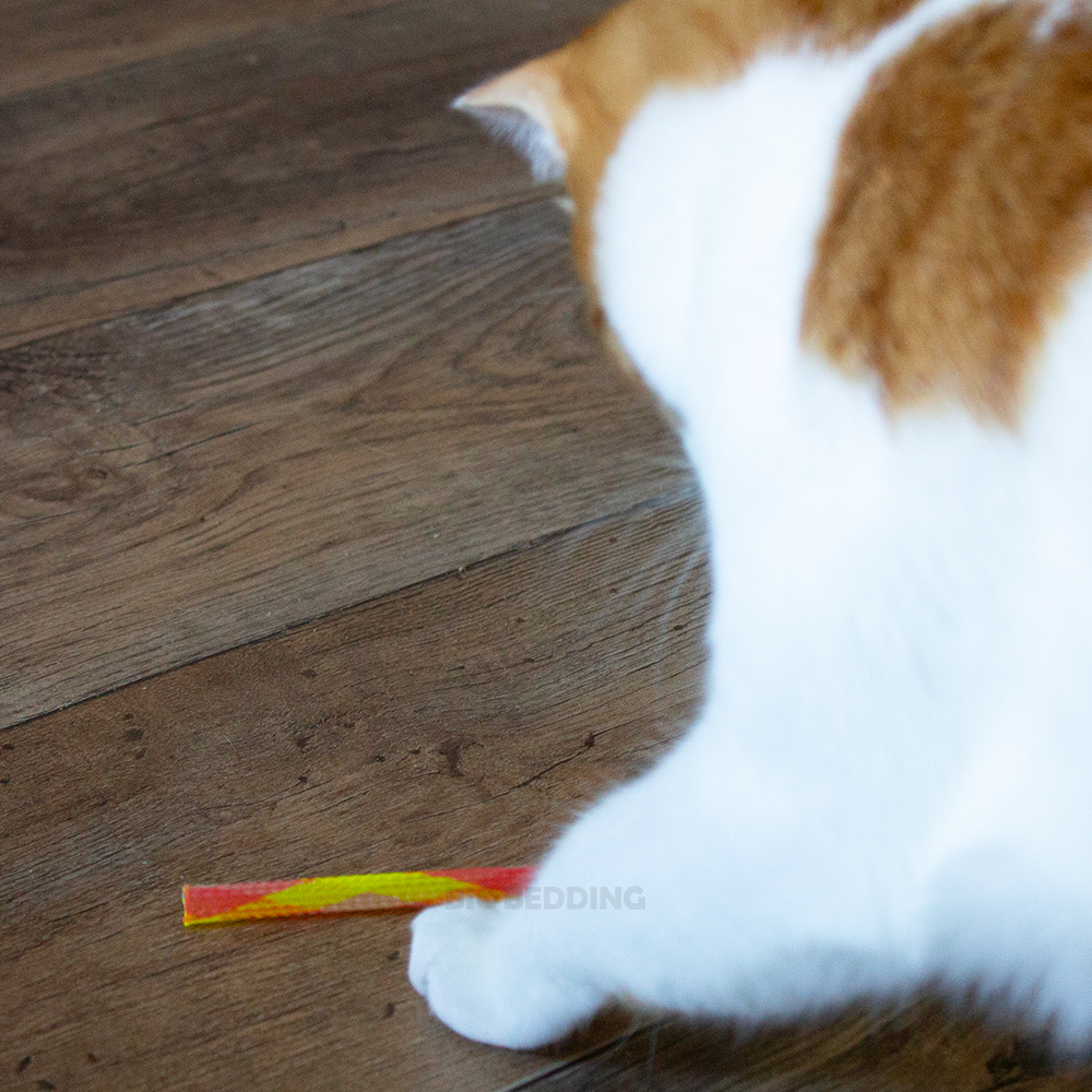 Producten voor Katten