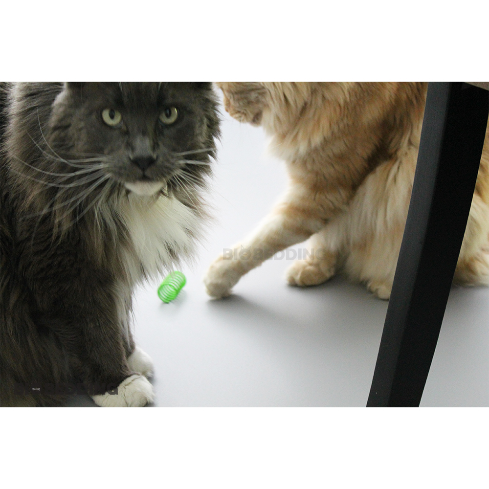 20 kleurrijke kattenveertjes 