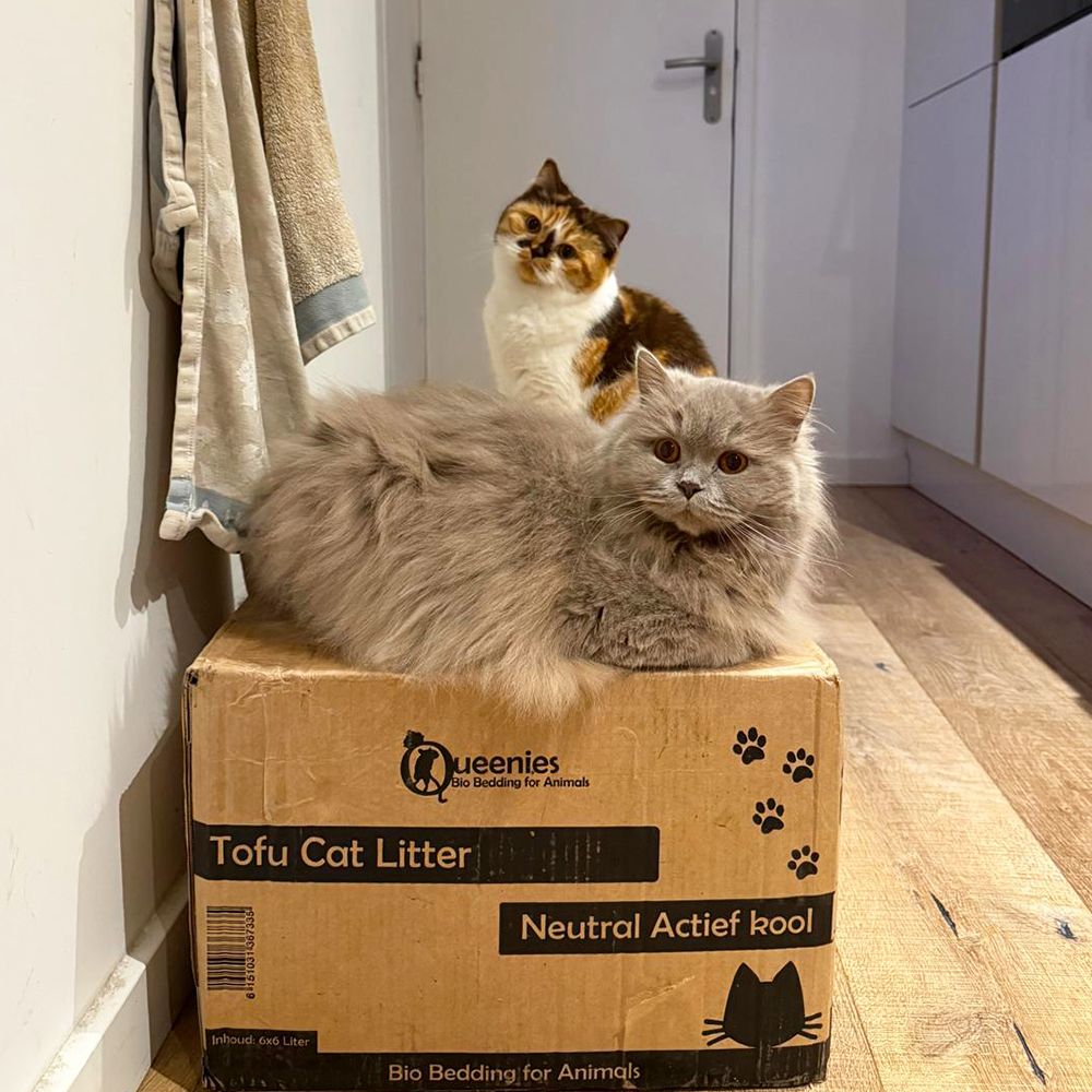 Tofu Cat Litter - Neutraal