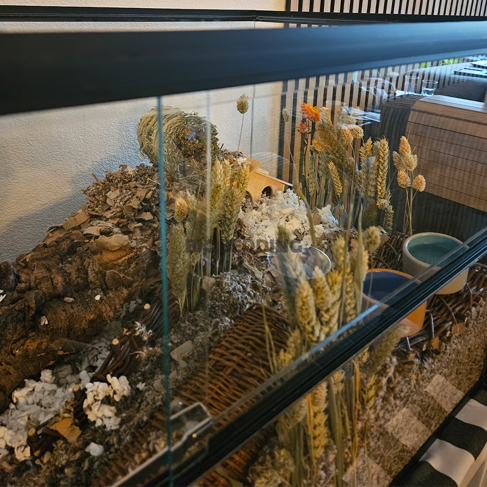 Bloemen gedroogd voor Hamsterscaping
