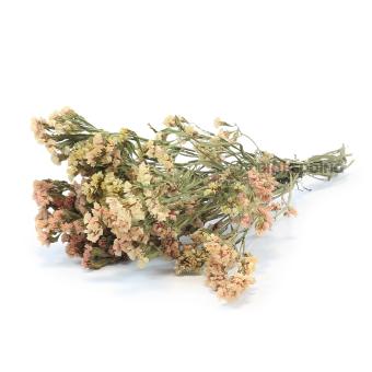 Zee lavendel soft peach