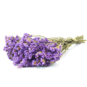 Lamsoor Ultraviolet 100 gram