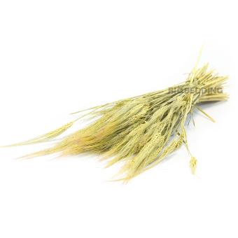 Gerst 200-250 gram 65 cm lang
