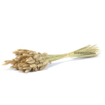 Hazenstaart Oogst 100 gram