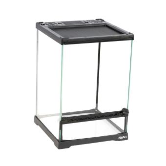 Compact insecten terrarium van glas
