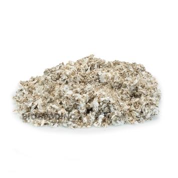 Cotton Carefresh Pure White