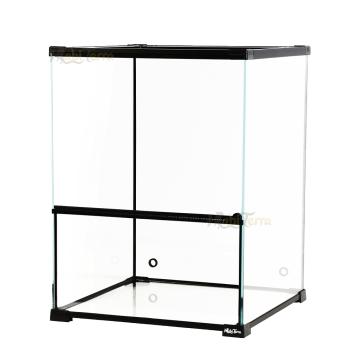 Paludarium voor boomkikkers en gekko's