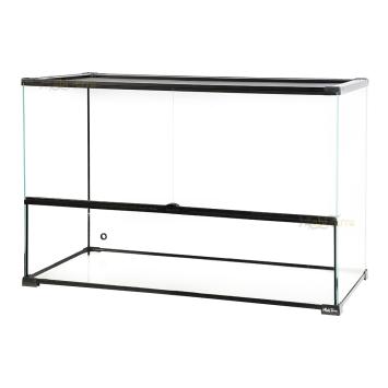 Tropisch terrarium met natuurlijke inrichting