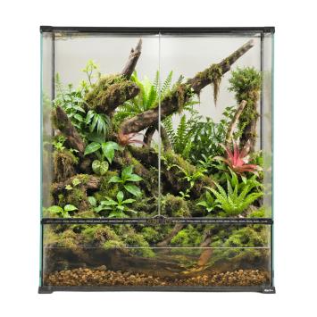 Tropisch paludarium voor boomkikkers en daggekko's