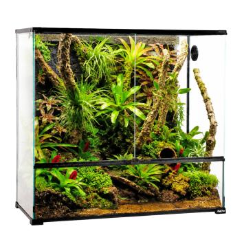 Bioactief paludarium met waterafvoer en kabeldoorvoer