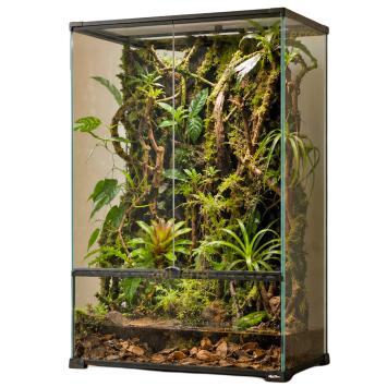 Bioactief terrarium met levende planten