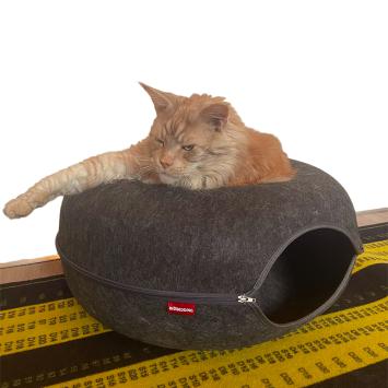 Kat in Kattenmand