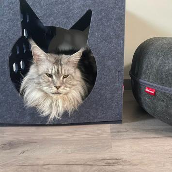Kubus slaapmand met Kat