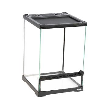 Compact insecten terrarium van glas