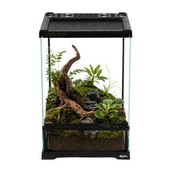 Observatie terrarium voor insecten